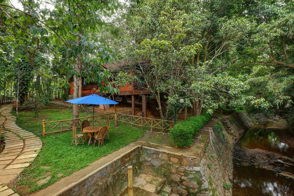 Marg Stream Valley Vythiri Dış mekan fotoğraf