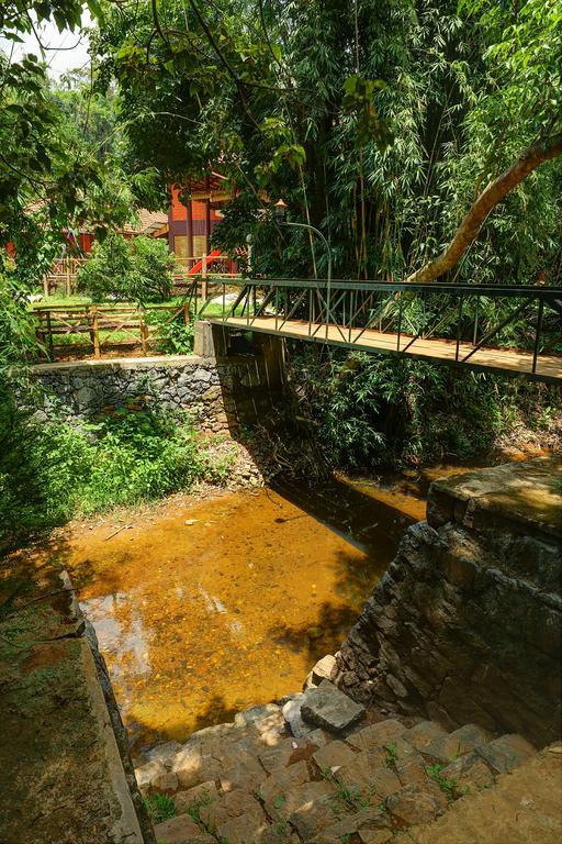 Marg Stream Valley Vythiri Dış mekan fotoğraf