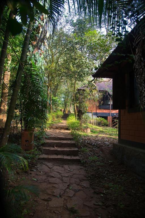 Marg Stream Valley Vythiri Dış mekan fotoğraf