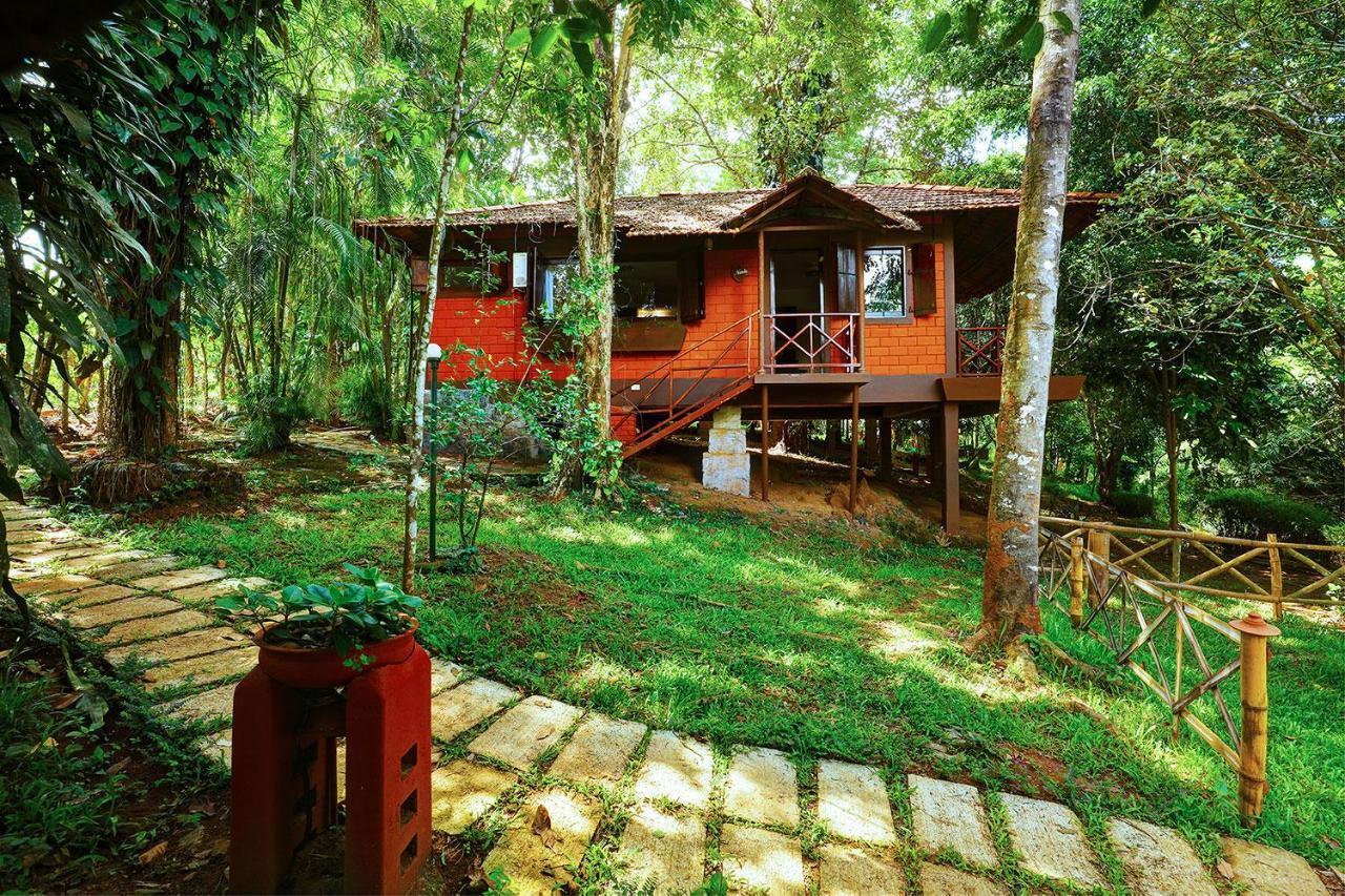 Marg Stream Valley Vythiri Dış mekan fotoğraf